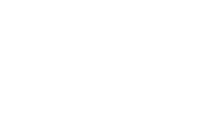 logo_300x200